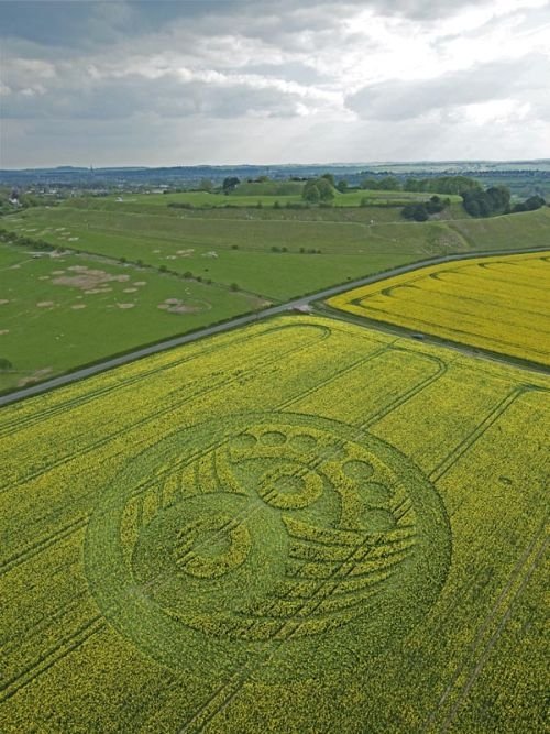 crop circle