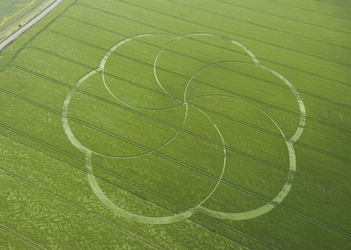 crop circle