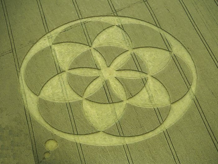 crop circle
