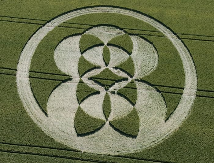 crop circle