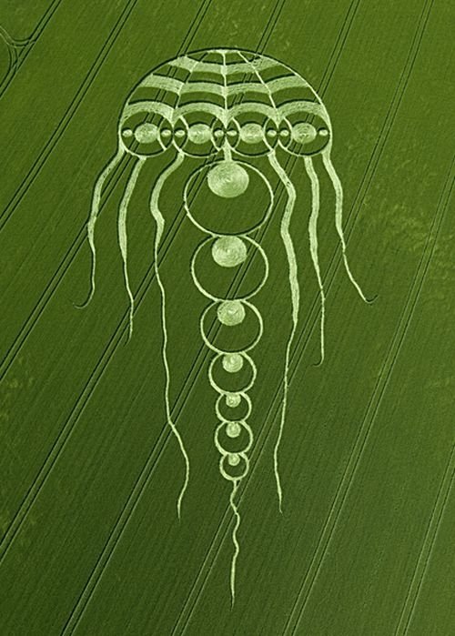 crop circle