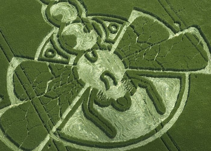 crop circle