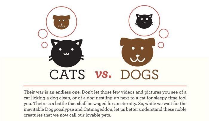 infographics about cats and dogs