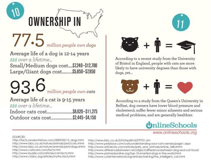 infographics about cats and dogs