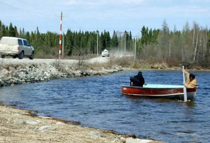 Strange animal found in Canada