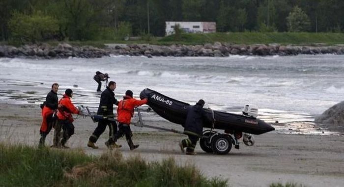 Moose rescue operation, Tallinn, Estonia