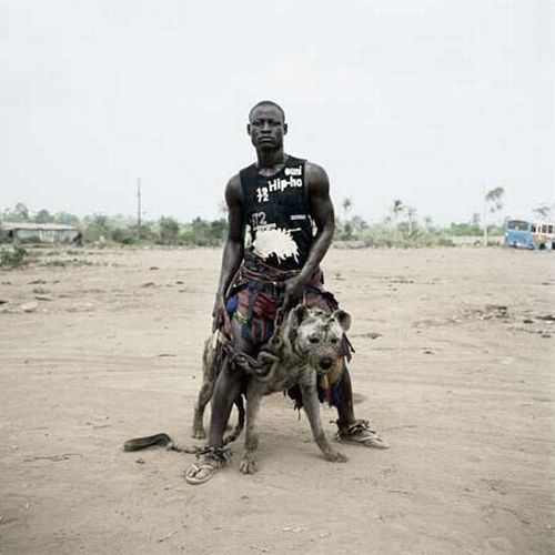 African pets, Nigeria