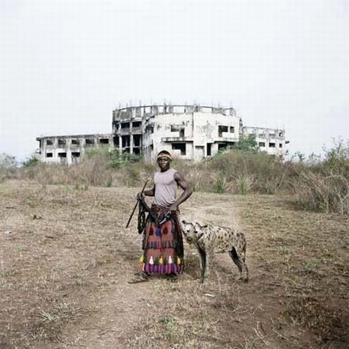 African pets, Nigeria