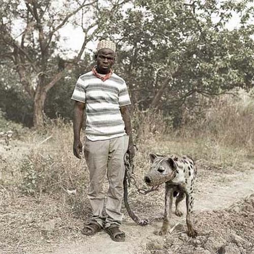 African pets, Nigeria
