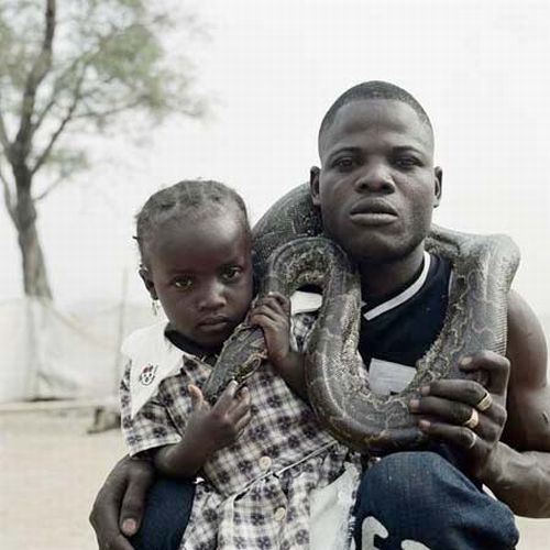 African pets, Nigeria