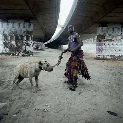 African pets, Nigeria