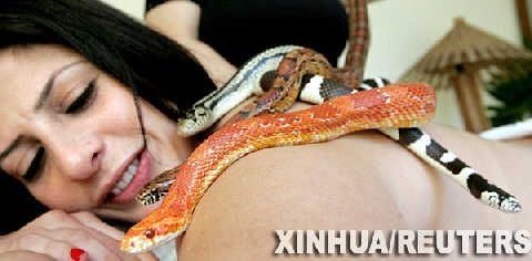 snake massage