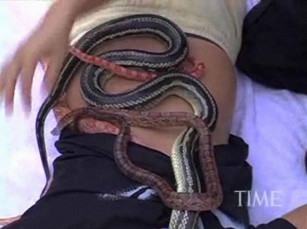 snake massage