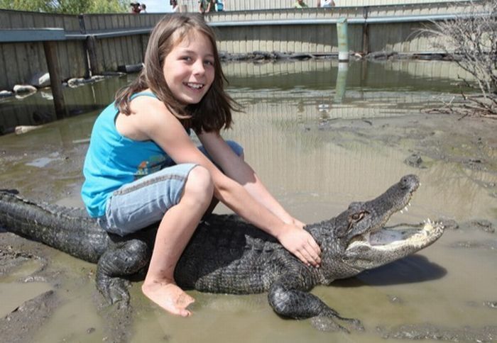 Samantha Young, a 9-year-old alligator wrestler