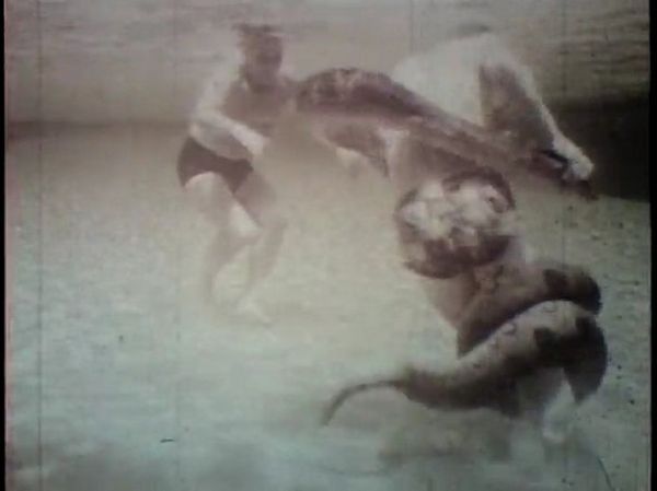 History: Underwater fight with a 20 ft Anaconda