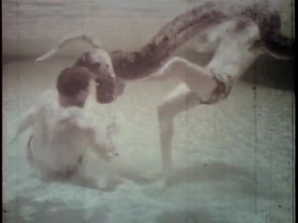 History: Underwater fight with a 20 ft Anaconda