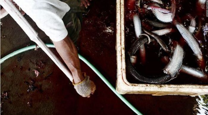 Snakeburgers, Indonesia