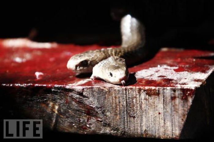 Snakeburgers, Indonesia