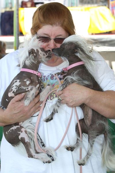 World's Ugliest Dog Contest 2010, Petaluma, California, United States