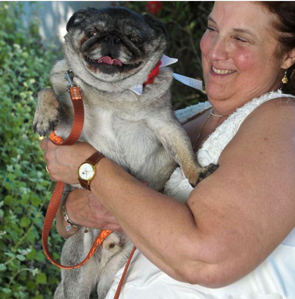 World's Ugliest Dog Contest 2010, Petaluma, California, United States