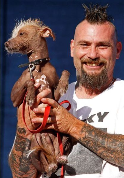 World's Ugliest Dog Contest 2010, Petaluma, California, United States