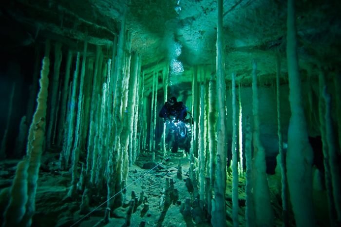 Blue holes and spectacular coral reefs, Andros, Bahamas