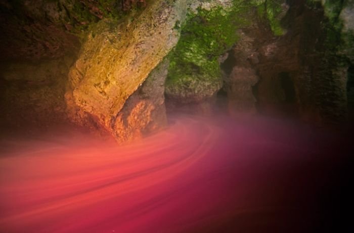 Blue holes and spectacular coral reefs, Andros, Bahamas