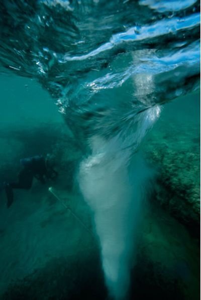 Blue holes and spectacular coral reefs, Andros, Bahamas