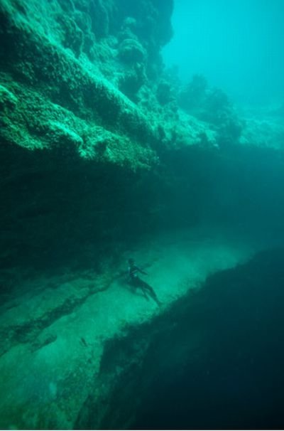 Blue holes and spectacular coral reefs, Andros, Bahamas