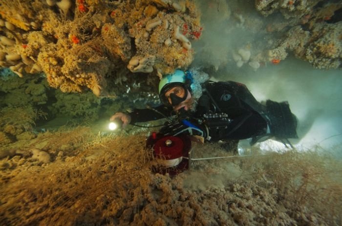 Blue holes and spectacular coral reefs, Andros, Bahamas