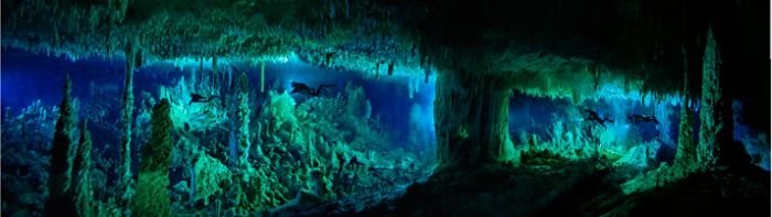 Blue holes and spectacular coral reefs, Andros, Bahamas