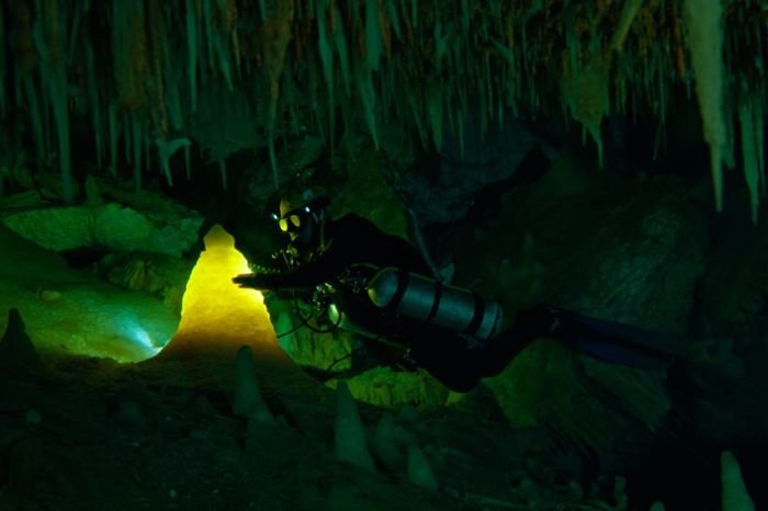 Blue holes and spectacular coral reefs, Andros, Bahamas