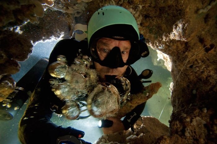 Blue holes and spectacular coral reefs, Andros, Bahamas