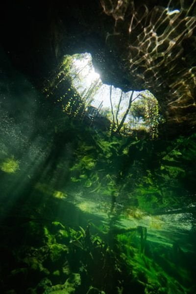 Blue holes and spectacular coral reefs, Andros, Bahamas