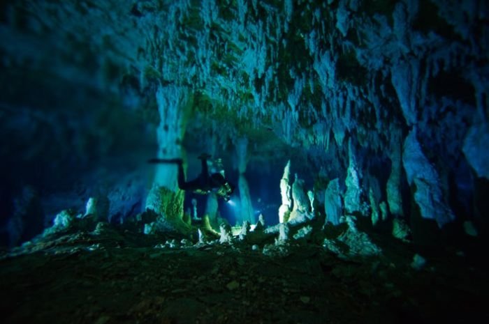 Blue holes and spectacular coral reefs, Andros, Bahamas