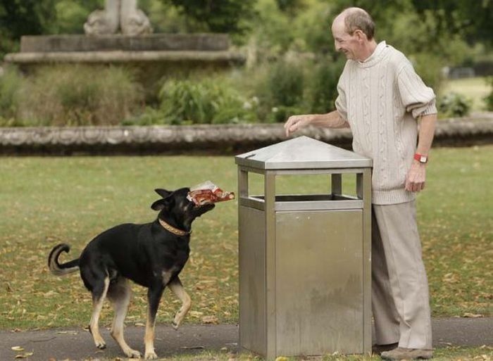 litter picking dog