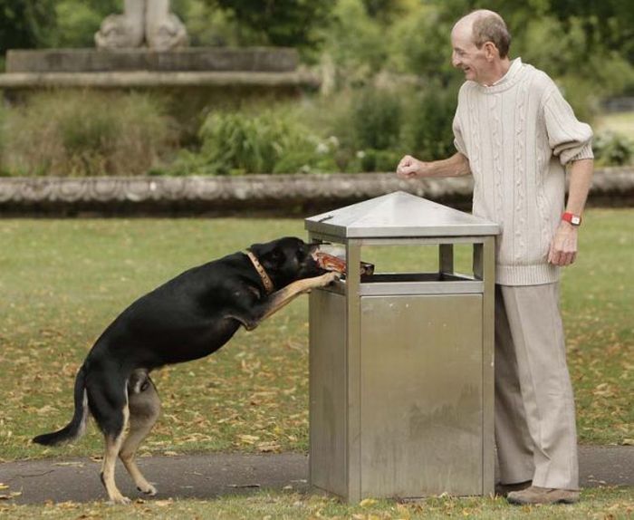 litter picking dog