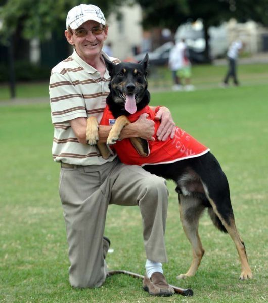 litter picking dog