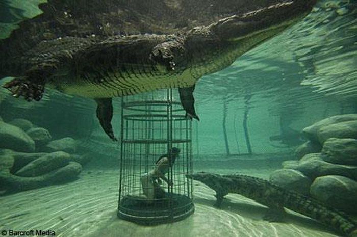 Cage of Death, Crocosaurus Cove Park, Darwin City, Australia