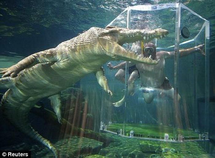 Cage of Death, Crocosaurus Cove Park, Darwin City, Australia