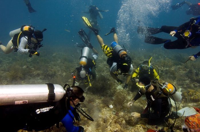 Coral reefs, Key Largo, Florida, United States