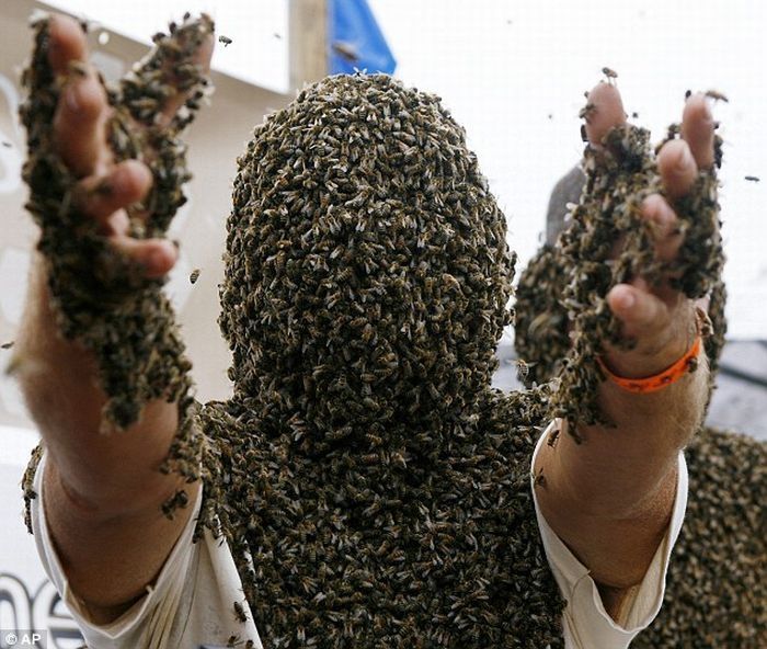 Bee beard competition, Ontario, Canada