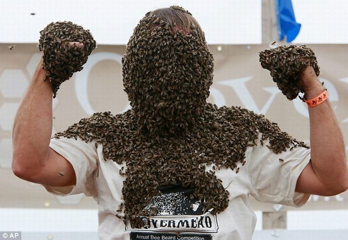 Bee beard competition, Ontario, Canada