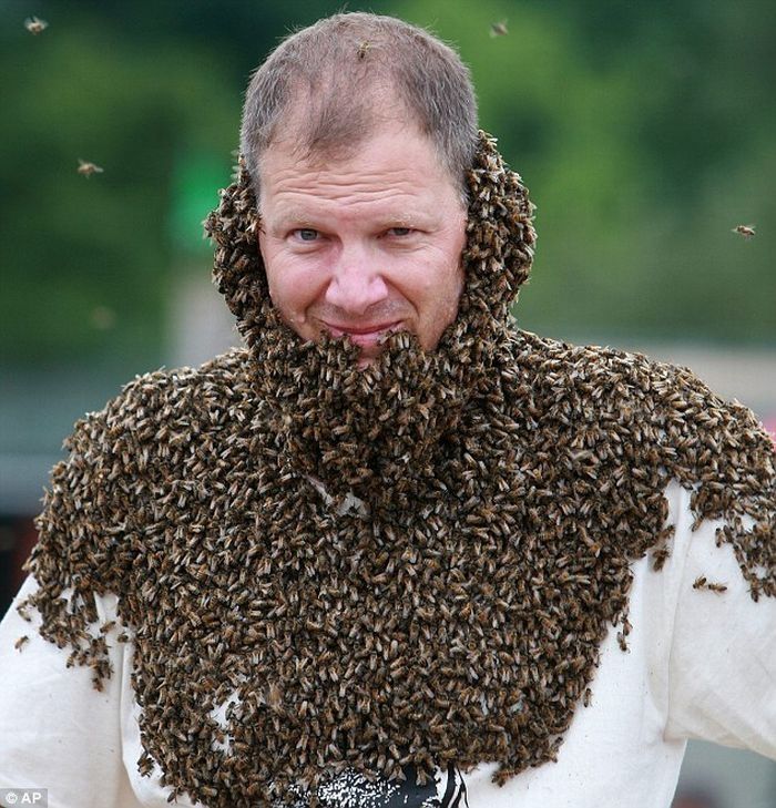 Bee beard competition, Ontario, Canada