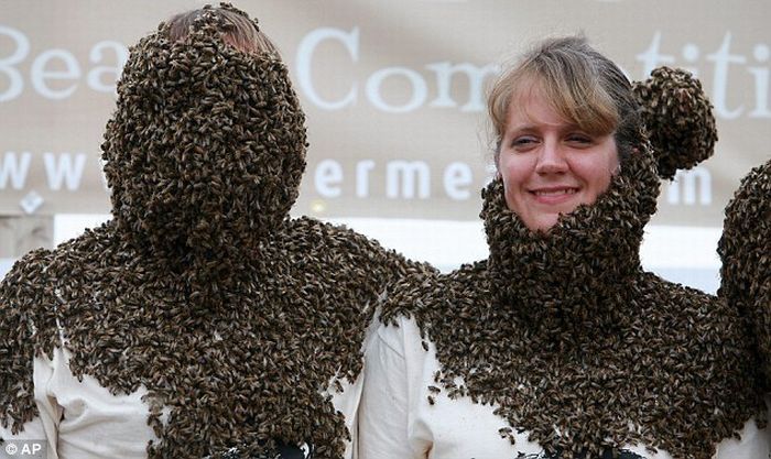 Bee beard competition, Ontario, Canada