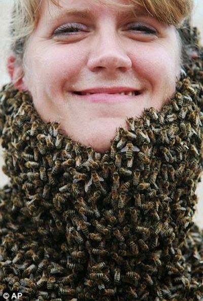 Bee beard competition, Ontario, Canada