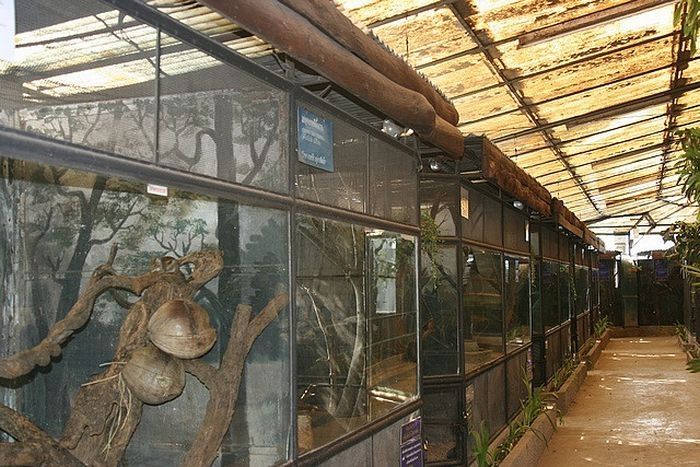 Pata Zoo in Bangkok, Thailand