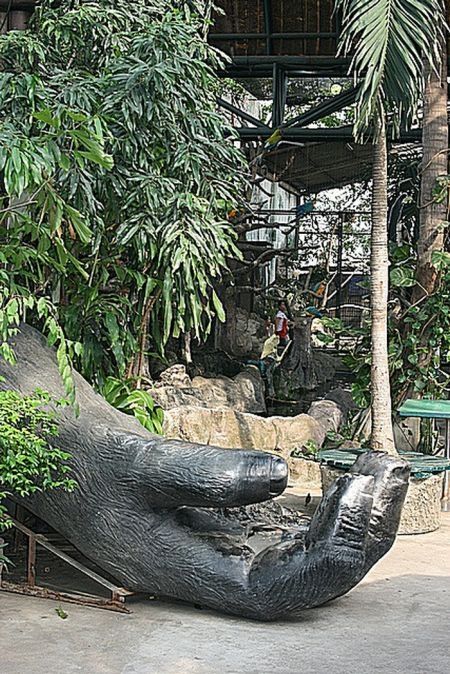 Pata Zoo in Bangkok, Thailand