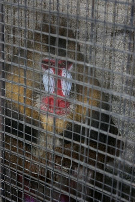 Pata Zoo in Bangkok, Thailand