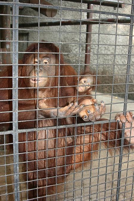 Pata Zoo in Bangkok, Thailand